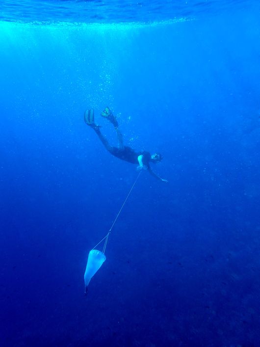 Barrierefreiheit: Kurzbeschreibung des Bildes