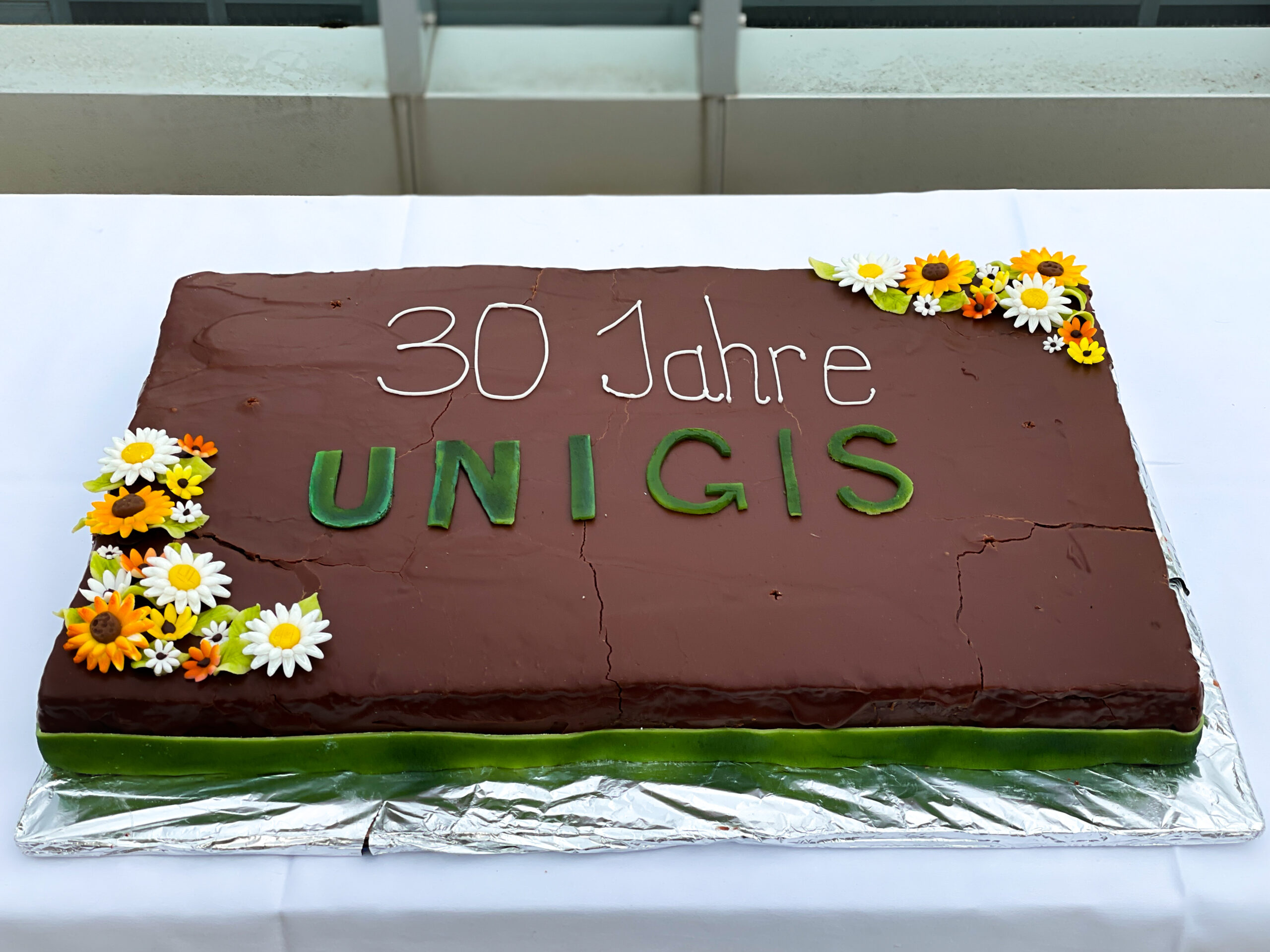 30 Jahre UNIGIS