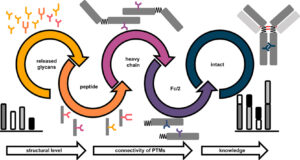 Graphical Abstract Böttinger_2