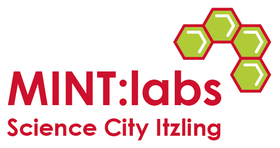 logo mint:labs