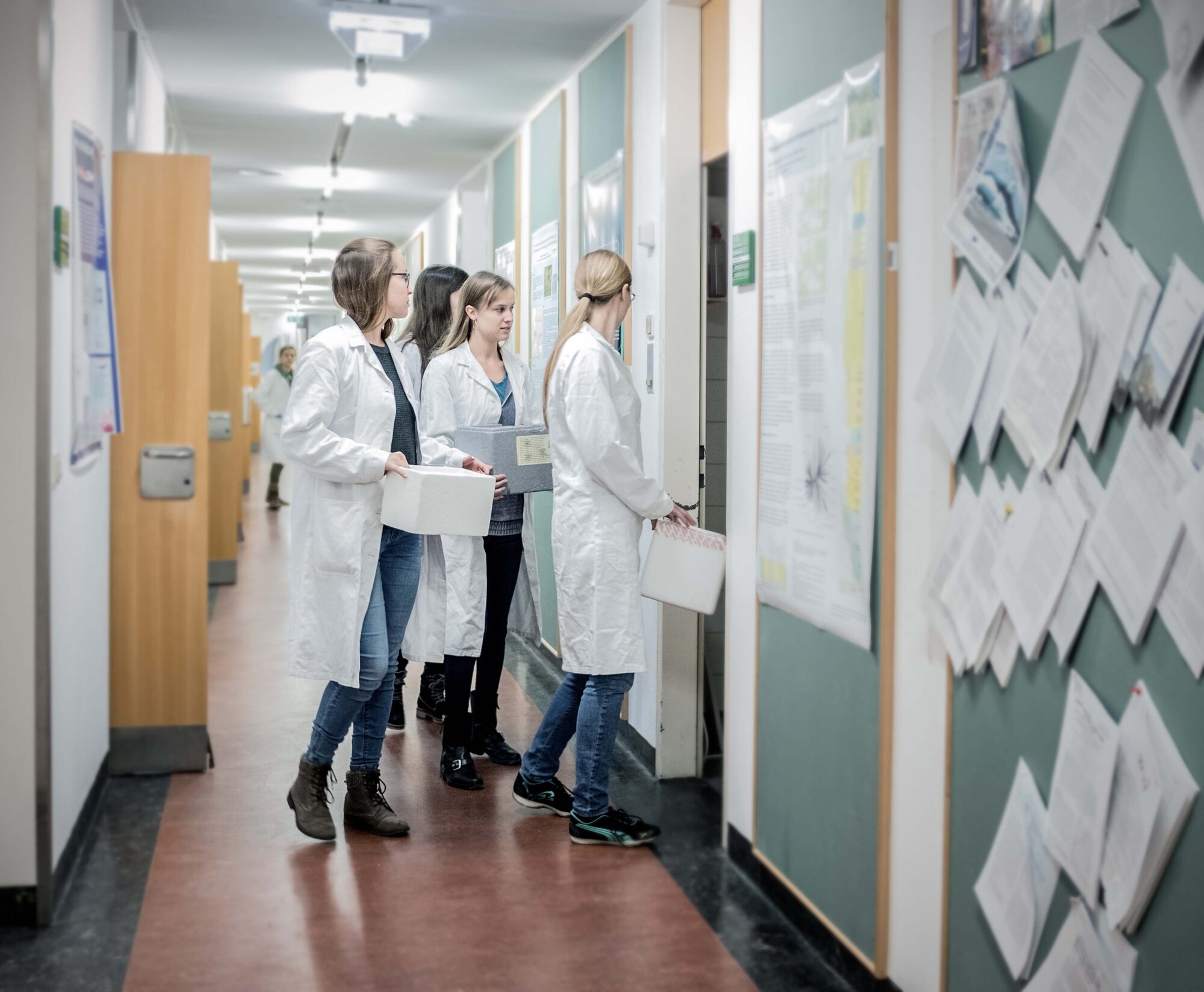 Studierende am Weg ins Labor