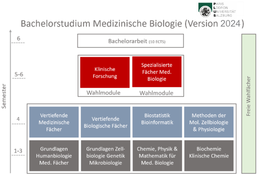 BA Med Bio Neu