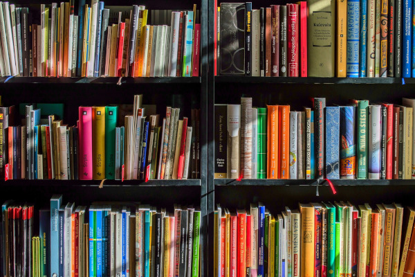 Picture of a book shelf