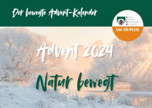 Ebook Adventkalender