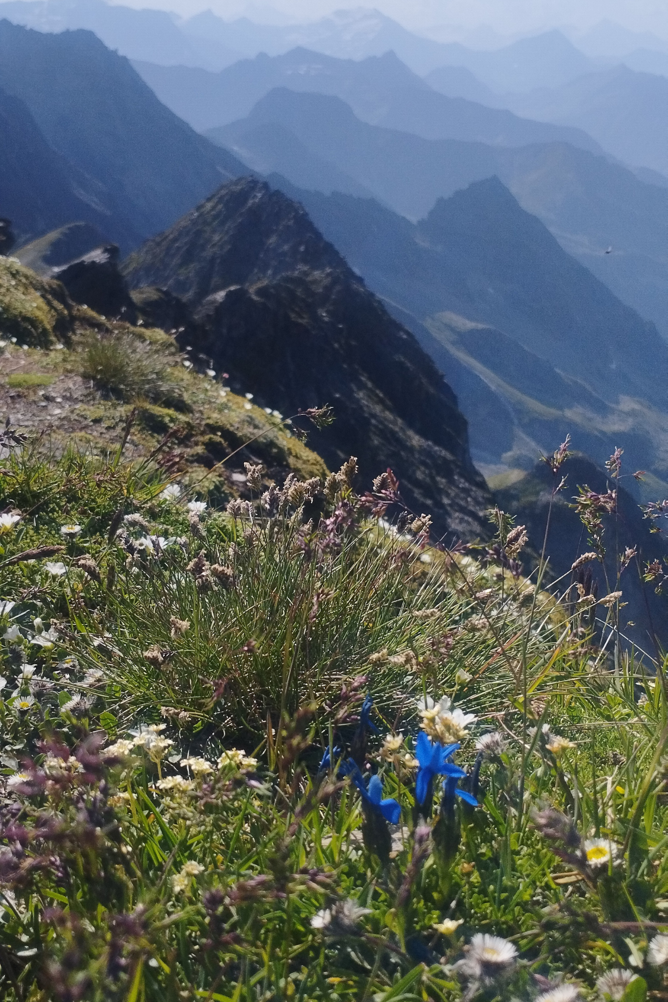 National Park Hohe Tauern